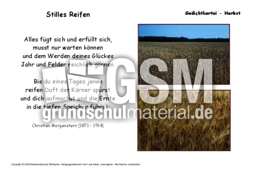 Stilles-Reifen-Morgenstern.pdf